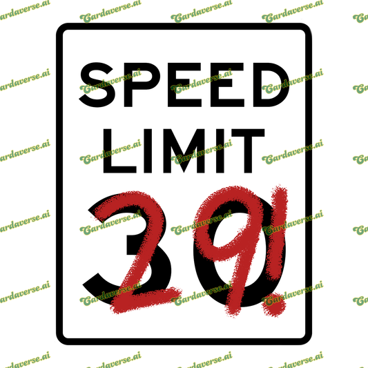 Speed Limit: 29!
